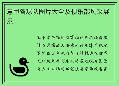 意甲各球队图片大全及俱乐部风采展示