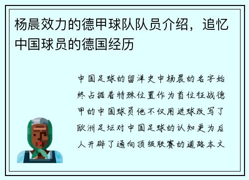 杨晨效力的德甲球队队员介绍，追忆中国球员的德国经历